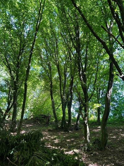 Wojsławickie Klimaty - galeria zdjęć